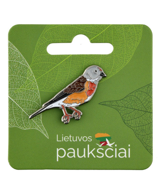 Ženkliukas čivylis